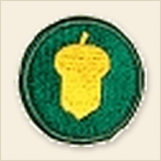 87th Division