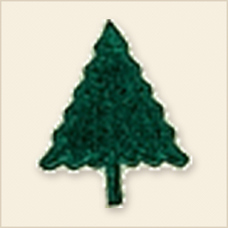 91st Division