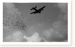 RAF Bomber Command Lancasters Operation Manna day 10 Waalhaven