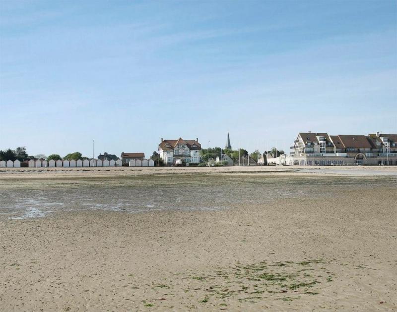 3 Canadian Infantry Division landing at Juno Beach