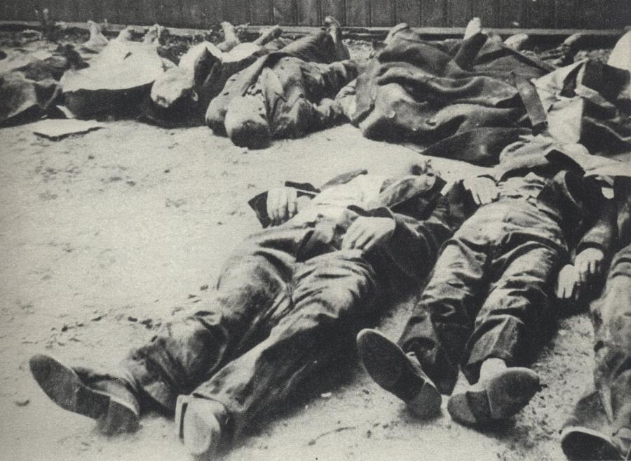 The Holocaust in Terebovlia, Ukraine