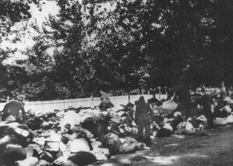 Executions carried out by the Einsatzkommando 3 on Monday 11 August 1941