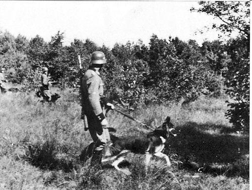 Executions carried out by the Einsatzkommando 3 on Monday 25 August 1941