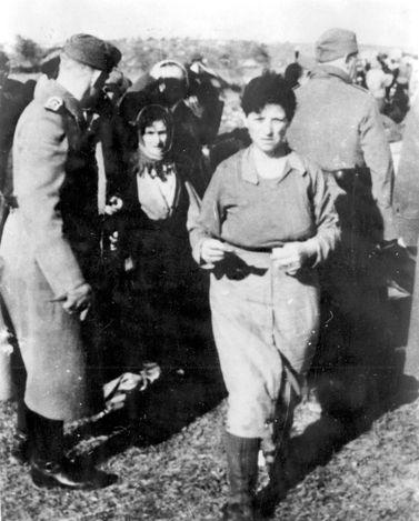 Executions carried out by the Einsatzkommando 3 on Saturday 15 November 1941
