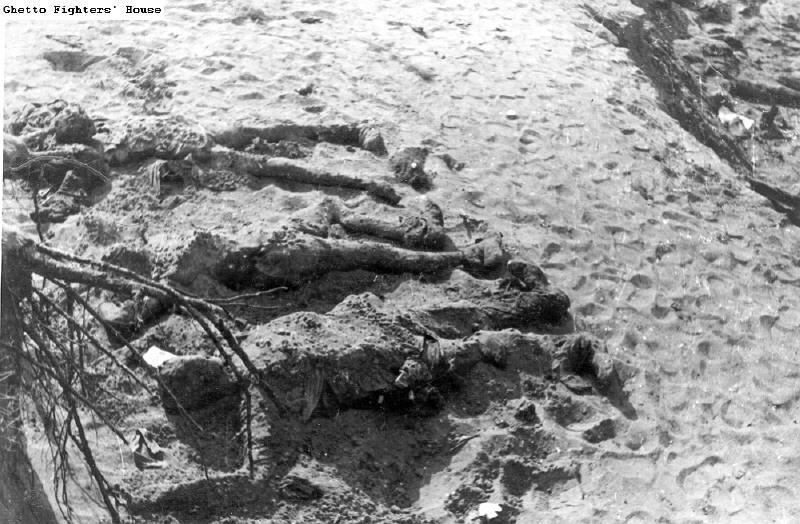 Executions carried out by the Einsatzkommando 3 on Tuesday 25 november 1941