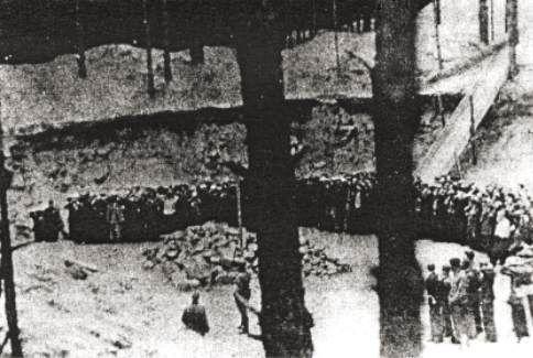 Executions carried out by the Einsatzkommando 3 on Tuesday 29 July 1941