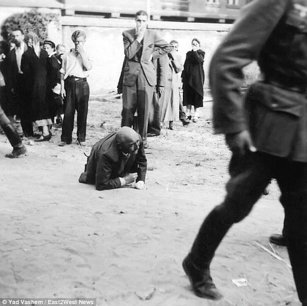 Executions carried out by the Einsatzkommando 3 on Wednesday 19 November 1941