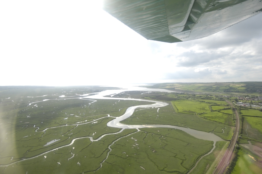 Pembrey EGFP (A)