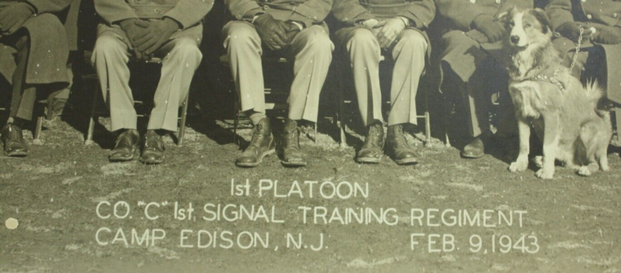Camp Edison