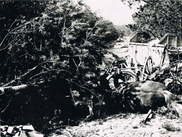 5th Canadian (Armoured) Division liberation of Delfzijl day 1
