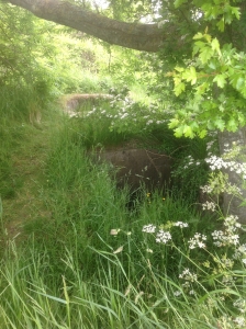 Bunker WN59