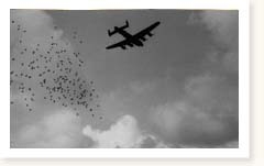 RAF Bomber Command Lancasters Operation Manna day 9 Waalhaven