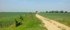 Hill 112 with 13 photos of a special place of commemoration