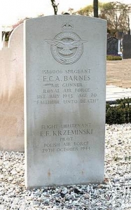 Spitfire LF.IX MJ551 JH-A lost at Numansdorp (Middelssluisedijk WZ) on 29-10-1944 (SGLO ref: T4594)