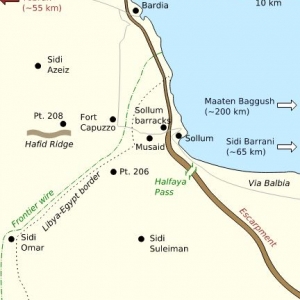 On Tues. 13 may 1941 British troops gathering Operation Brevity in Libyan-Egyptian border region