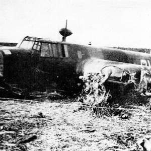 Whitley lost at Spijkenisse (polder Nieuwe Uitslag) on 26-07-1940 (SGLO ref: T0756)