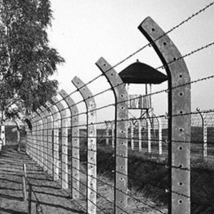 Overhaaste executies in Kamp Vught