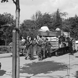 'Triest schouwspel': massale evacuatie Wassenaar