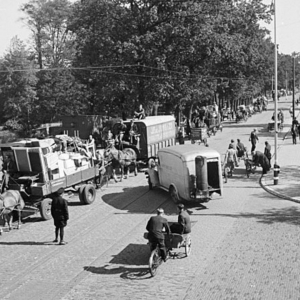 'Triest schouwspel': massale evacuatie Wassenaar