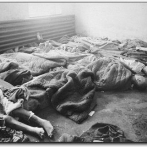 Auschwitz - Delouse