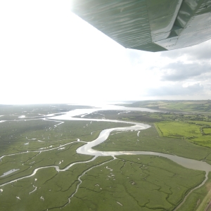 Pembrey EGFP (A)