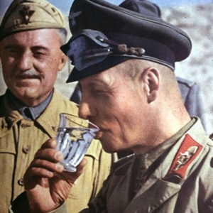 Operation Flipper