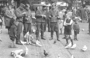 53rd (Welsh) Infantry Division (UK) fought to release 's-Hertogenbosch day 2