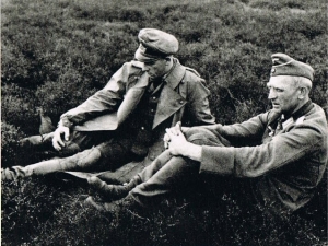 5th Canadian (Armoured) Division liberation of Delfzijl day 1