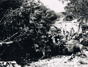 5th Canadian (Armoured) Division liberation of Delfzijl day 1
